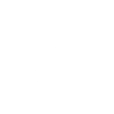 DFG Logo